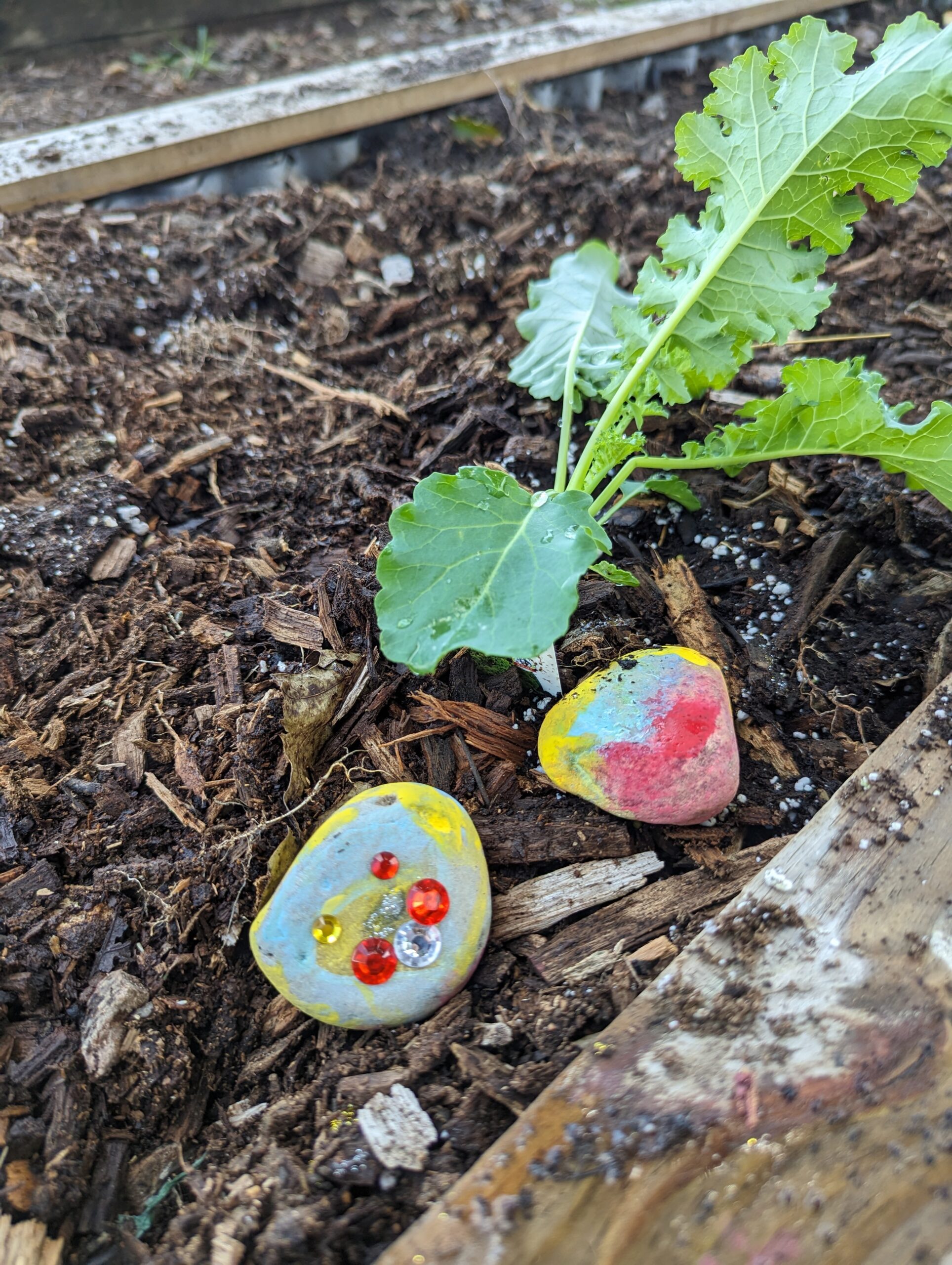 kale and two painted rocks.