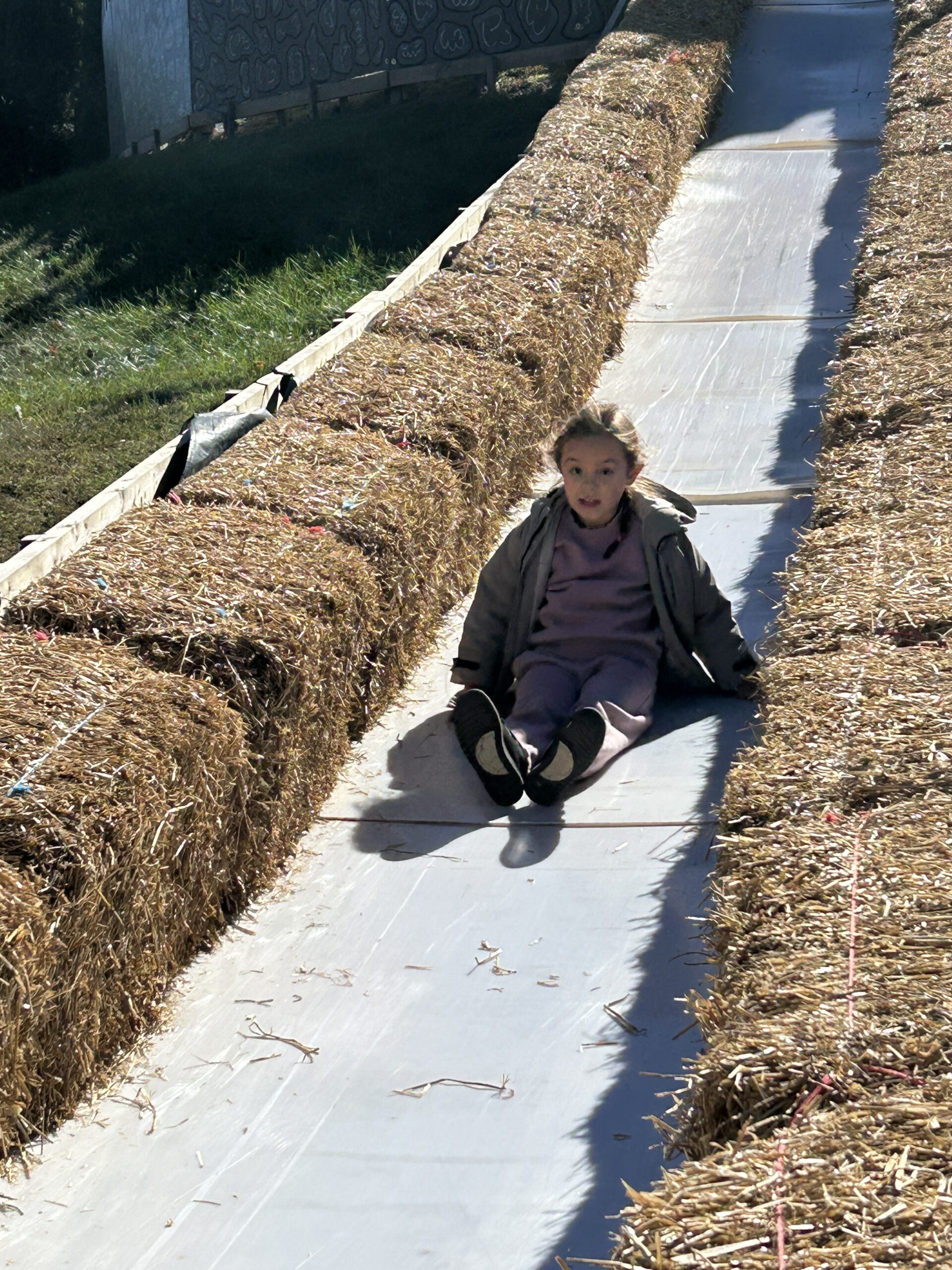 A student sliding down the slide