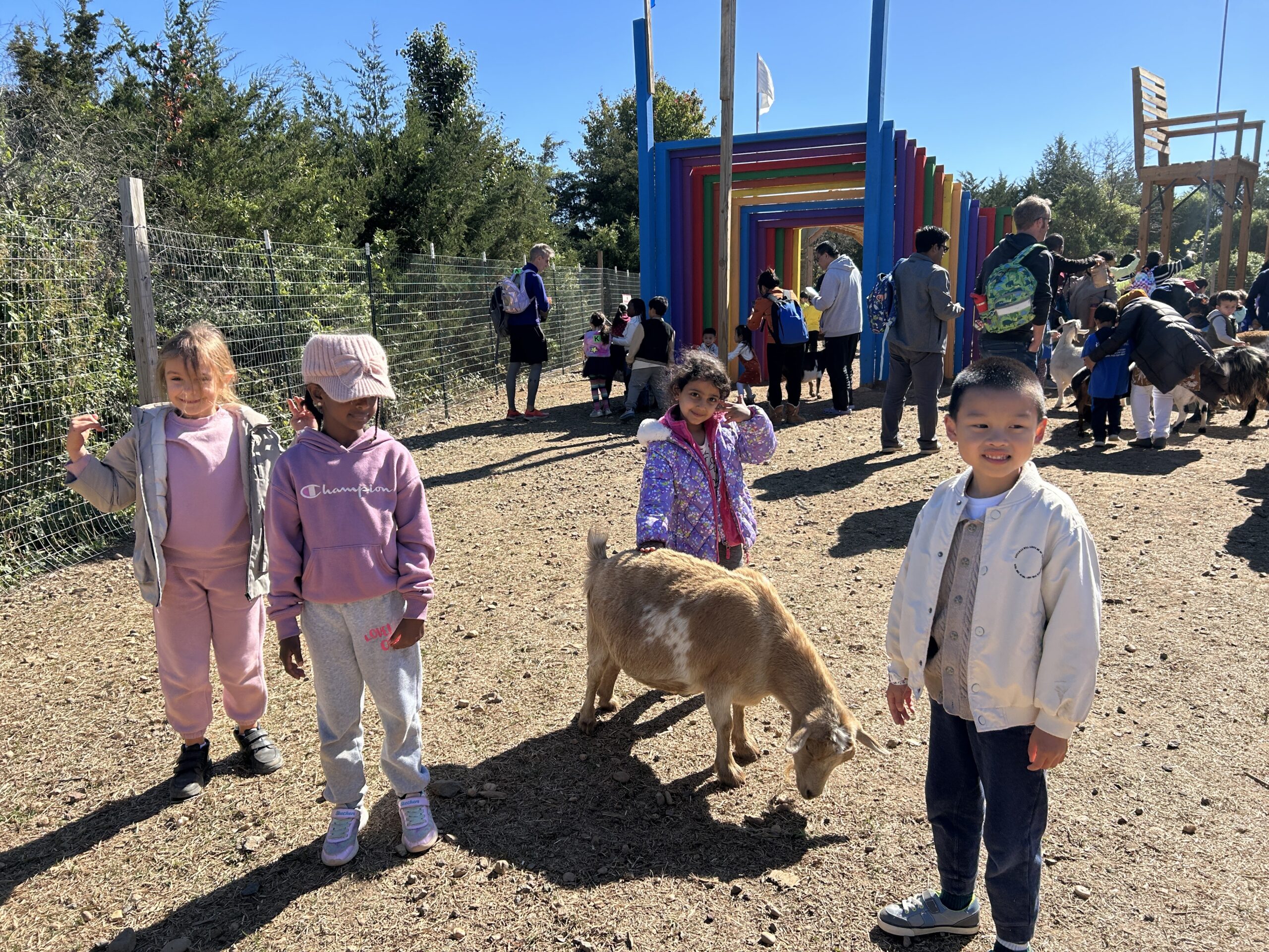 Students feeding goats